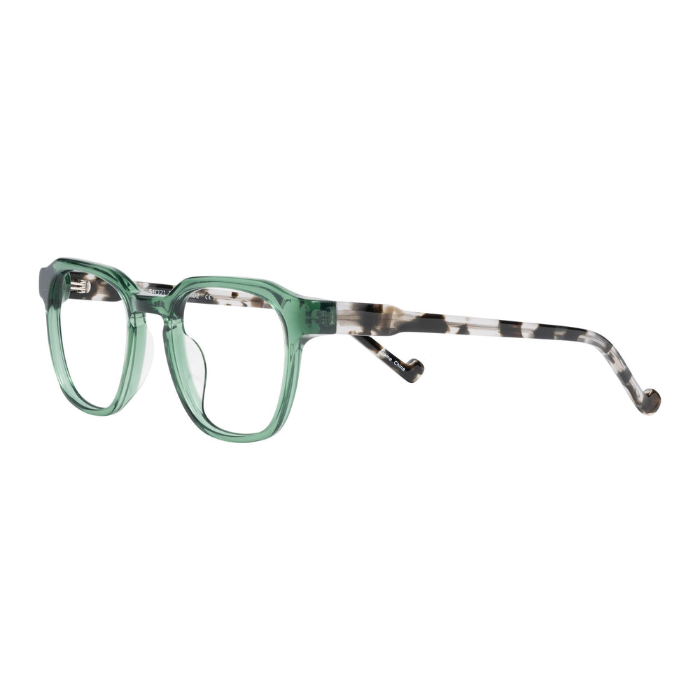 Computer Reading Glasses Transparent Green - Renee's Readers