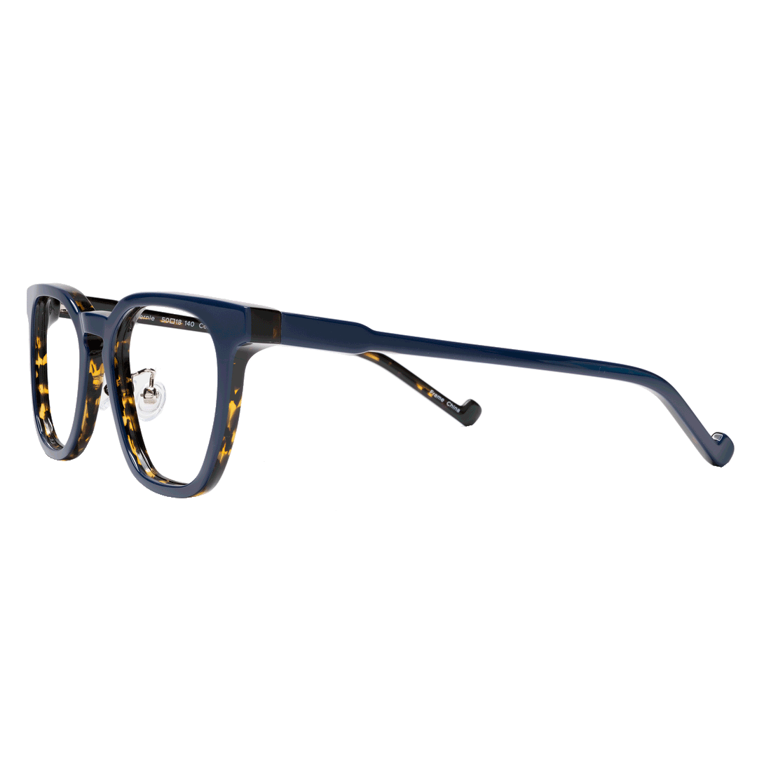 Progressive Glasses Navy and Tortoise