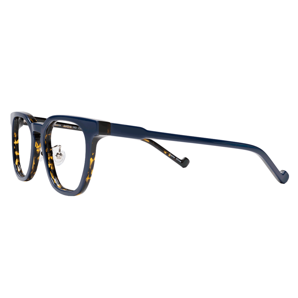 Progressive Glasses Navy and Tortoise